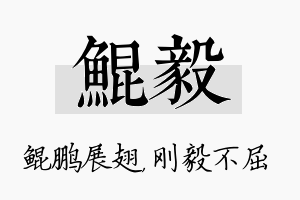 鲲毅名字的寓意及含义