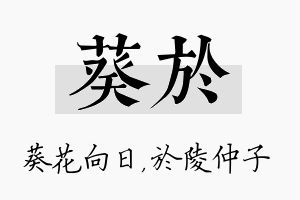 葵於名字的寓意及含义