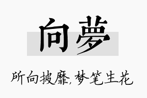 向梦名字的寓意及含义