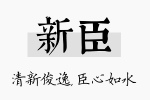 新臣名字的寓意及含义