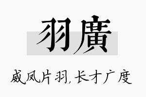 羽广名字的寓意及含义