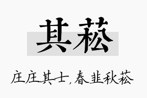 其菘名字的寓意及含义