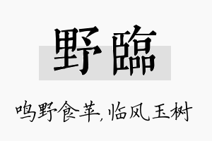 野临名字的寓意及含义