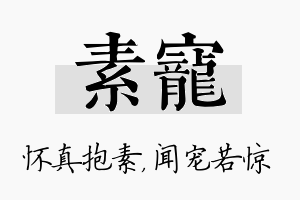 素宠名字的寓意及含义