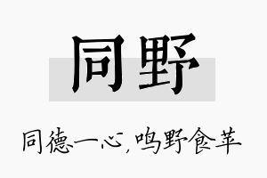 同野名字的寓意及含义