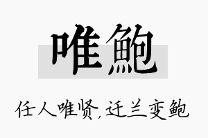 唯鲍名字的寓意及含义