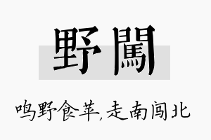 野闯名字的寓意及含义