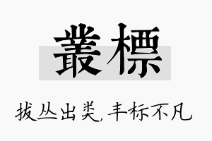 丛标名字的寓意及含义