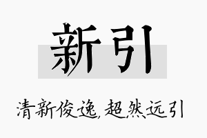 新引名字的寓意及含义