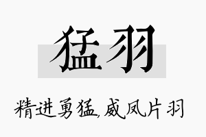 猛羽名字的寓意及含义