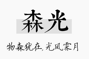 森光名字的寓意及含义