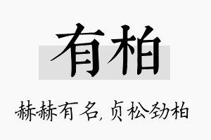 有柏名字的寓意及含义