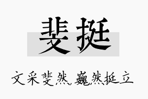 斐挺名字的寓意及含义