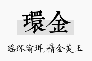 环金名字的寓意及含义