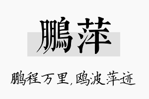 鹏萍名字的寓意及含义