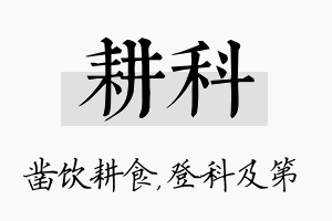 耕科名字的寓意及含义