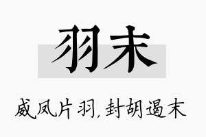 羽末名字的寓意及含义