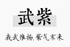 武紫名字的寓意及含义