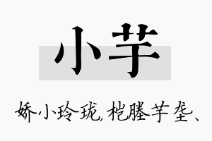 小芋名字的寓意及含义