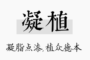 凝植名字的寓意及含义