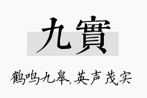 九实名字的寓意及含义