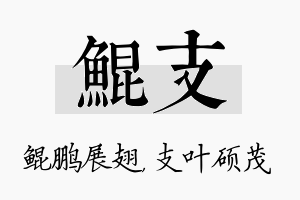 鲲支名字的寓意及含义