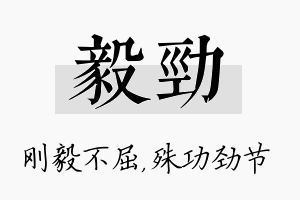 毅劲名字的寓意及含义