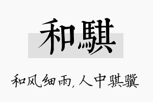 和骐名字的寓意及含义