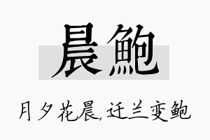 晨鲍名字的寓意及含义