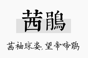 茜鹃名字的寓意及含义