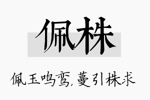 佩株名字的寓意及含义