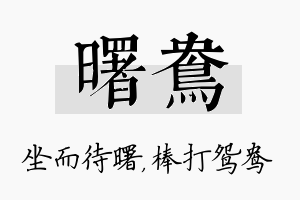 曙鸯名字的寓意及含义