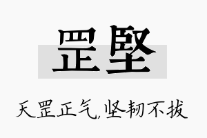 罡坚名字的寓意及含义