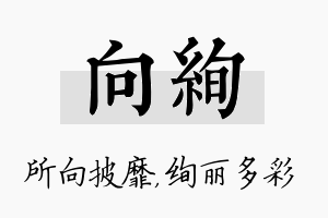 向绚名字的寓意及含义