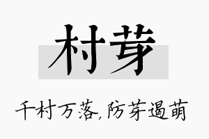 村芽名字的寓意及含义