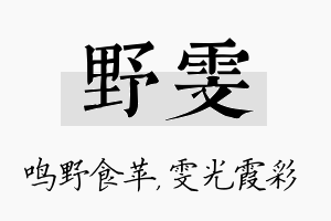 野雯名字的寓意及含义