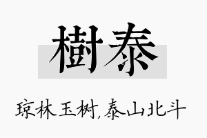 树泰名字的寓意及含义