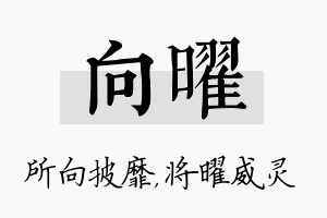 向曜名字的寓意及含义