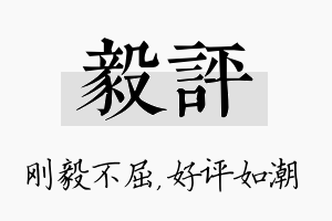 毅评名字的寓意及含义