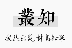 丛知名字的寓意及含义