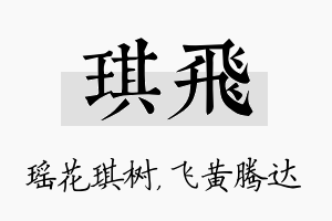 琪飞名字的寓意及含义