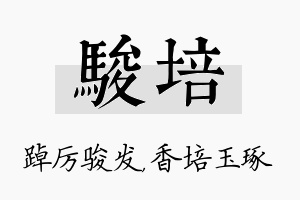 骏培名字的寓意及含义