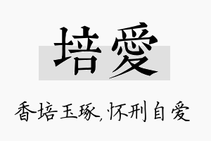 培爱名字的寓意及含义