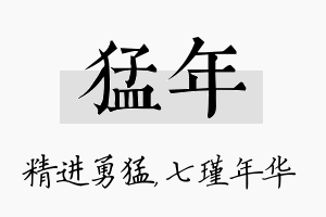 猛年名字的寓意及含义