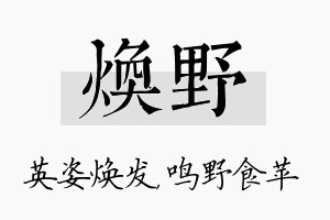 焕野名字的寓意及含义