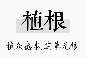 植根名字的寓意及含义