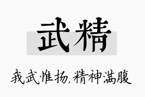 武精名字的寓意及含义