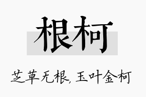 根柯名字的寓意及含义