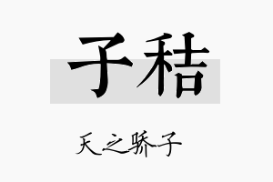 子秸名字的寓意及含义