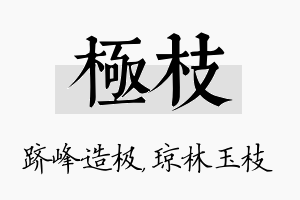 极枝名字的寓意及含义